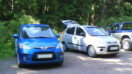 Ein blauer Artgenosse