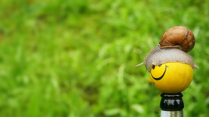 Neueste Summerfashion von Ballaballa