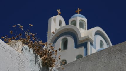 .. in allen Größen..