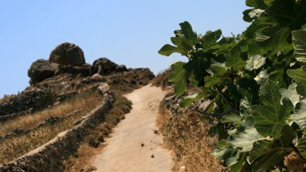 Hier ging es ab von der Straße - rein in die Natur