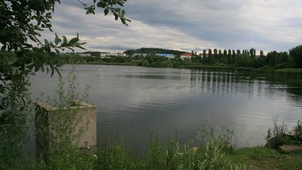 Teich auf dem Heimweg - dahinter liegen Gebäude vom Campus der TU-Ilmenau