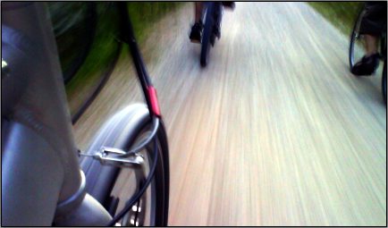 Radeln in freier Wildbahn