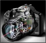 EOS 500D mit Videofunktion