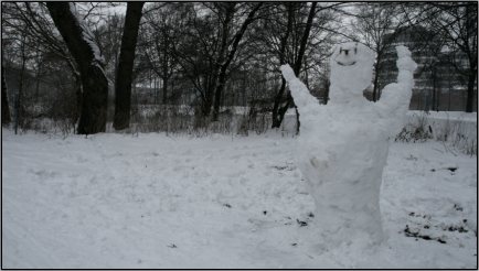 Unser Schneefrankenstein im Portrait