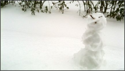 Chinesischer Schneemann