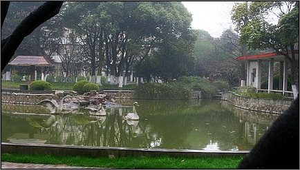 Der Park unserer kommenden Hochzeit