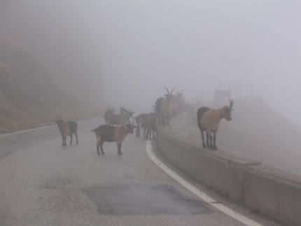 Irgendwo in den Bergen
