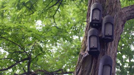 Vogelhäuser von Designern